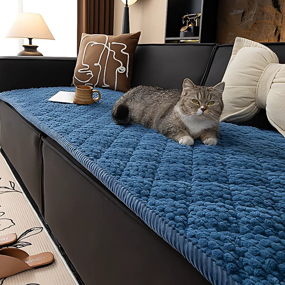 Couvre canapé matelassé bleu sur un canapé noir, chat allongé dessus