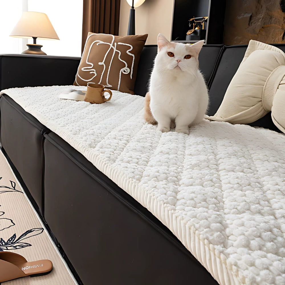 Couvre canapé matelassé blanc sur un canapé noir avec un chat