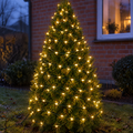 Guirlande lumineuse extérieure blanc chaud sur un thuya dans le jardin devant la maison le soir, fil vert entre les branches