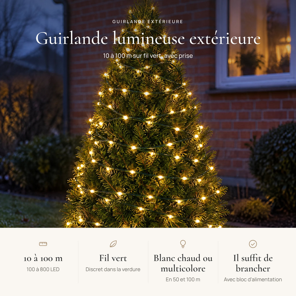 Avantages de la guirlande lumineuse extérieure : 10 à 100 m, fil vert, blanc chaud ou multicolore, avec bloc d'alimentation
